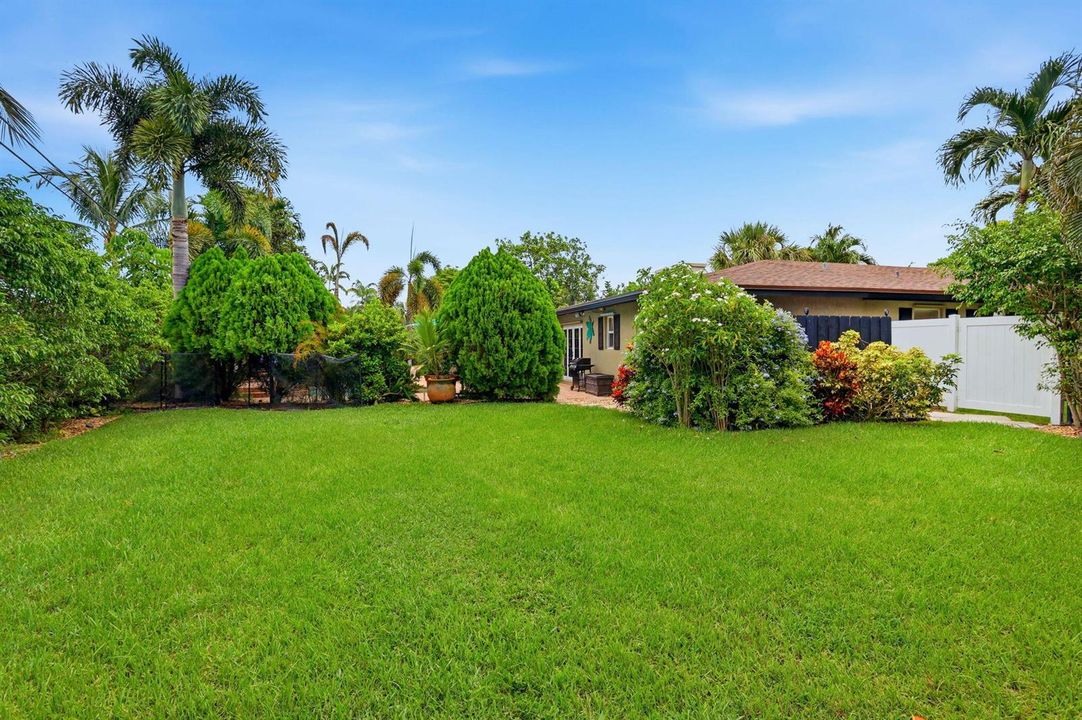 Massive Yard