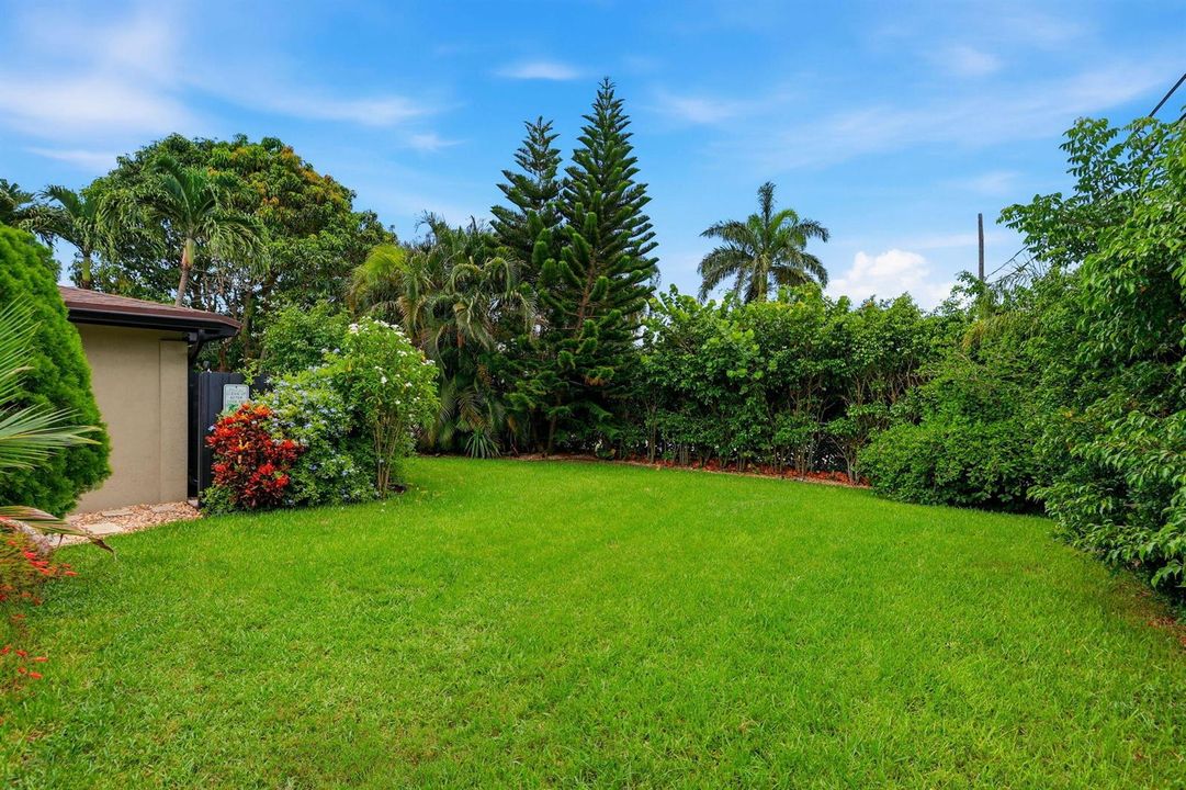 Massive Yard