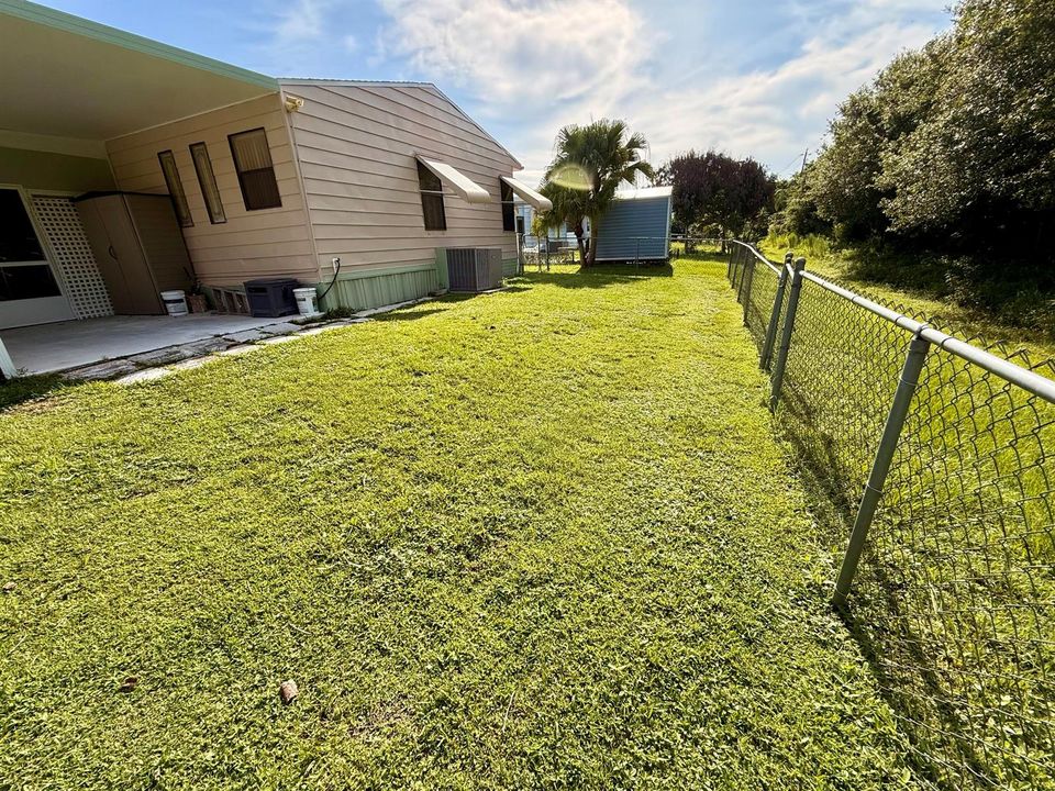 Backyard