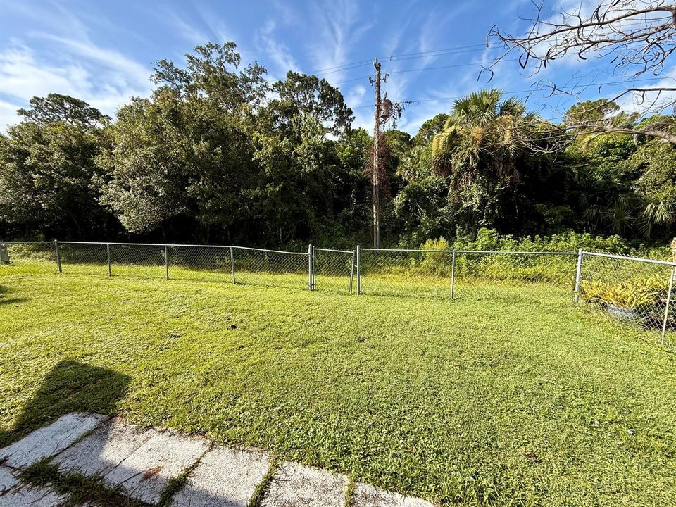 Backyard 2