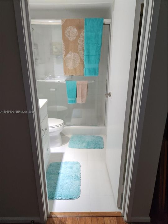 Guest bathroom