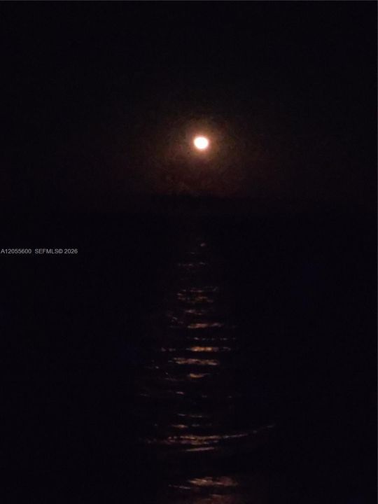 View of Moon rising over ocean