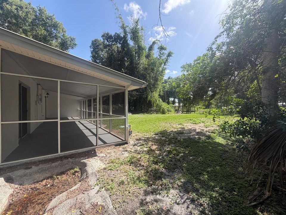 5. Backyard
