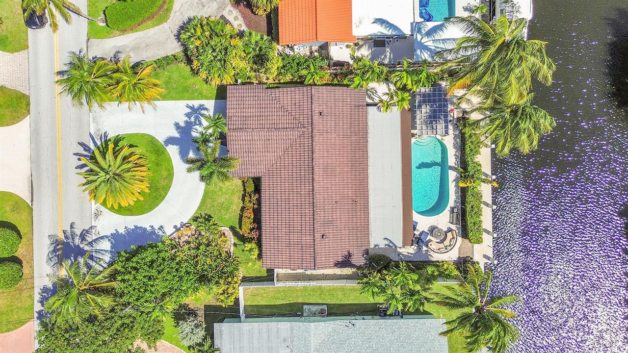 aerial (24)