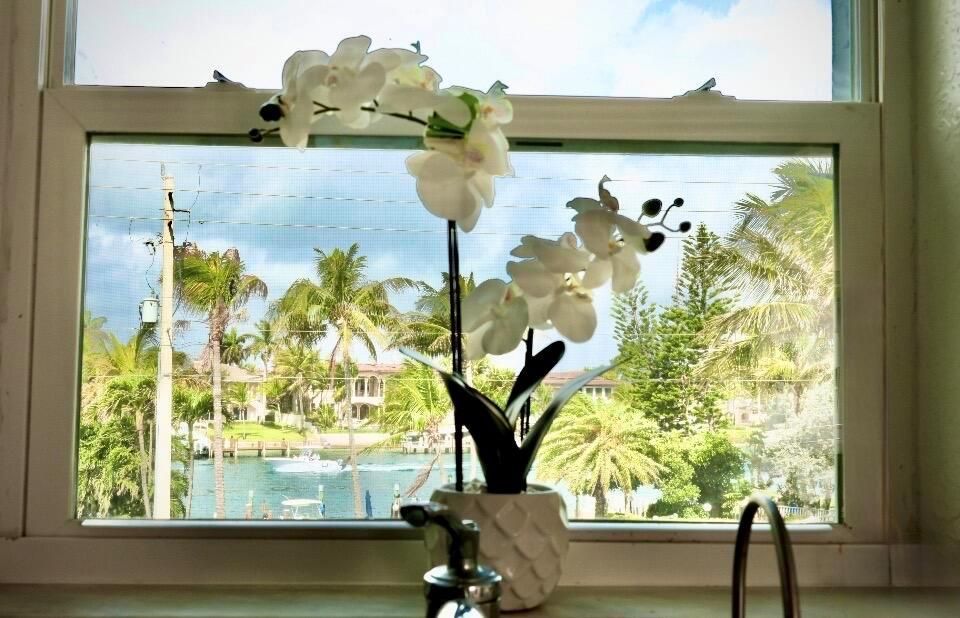 1043 kitch view