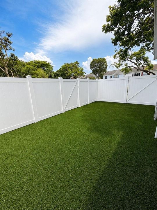 Backyard
