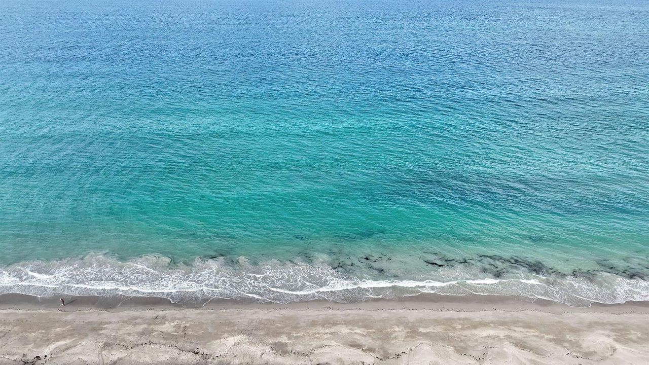 View 1