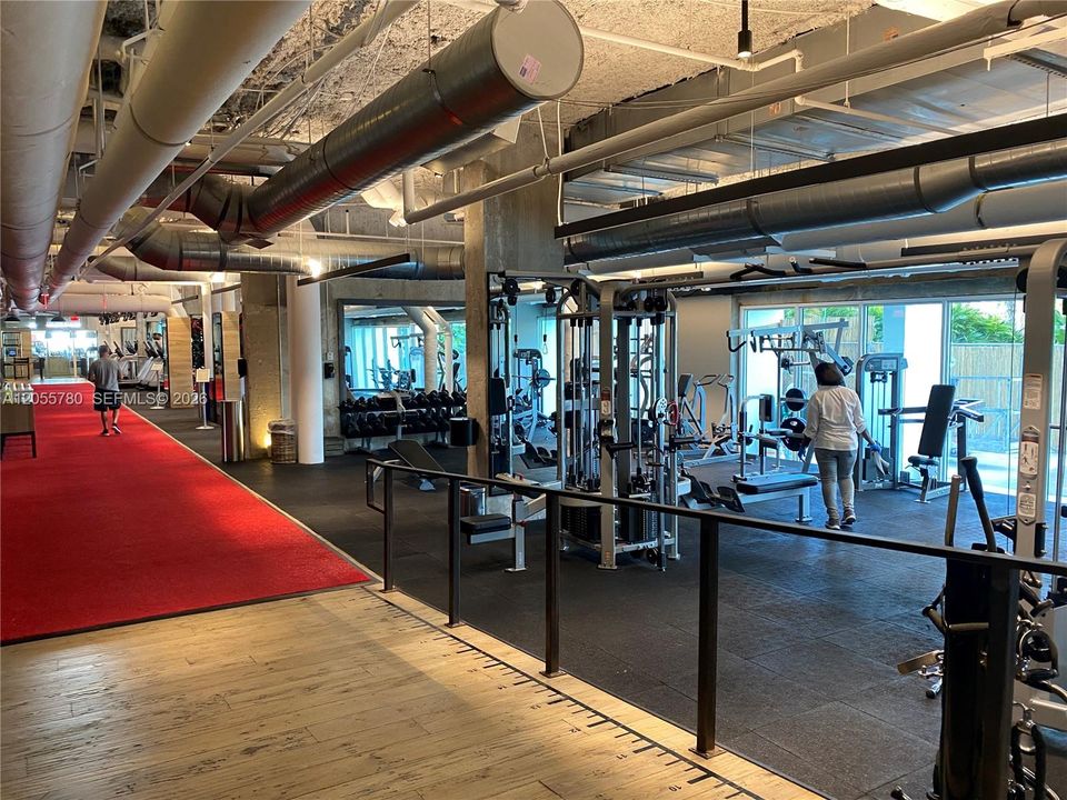 Anatomy Gym