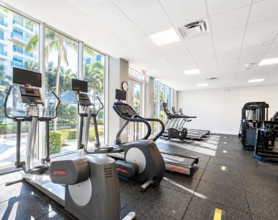 BRIGHT AND SUNNY GYM
