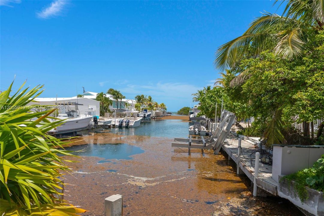 For Sale: $700,000 (4 beds, 2 baths, 1447 Square Feet)