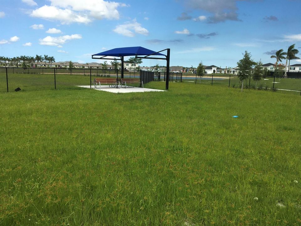 Dog Park 2