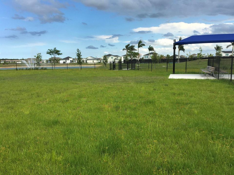 Dog Park