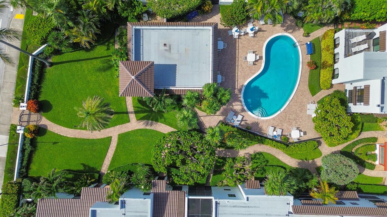 Pool & Club house