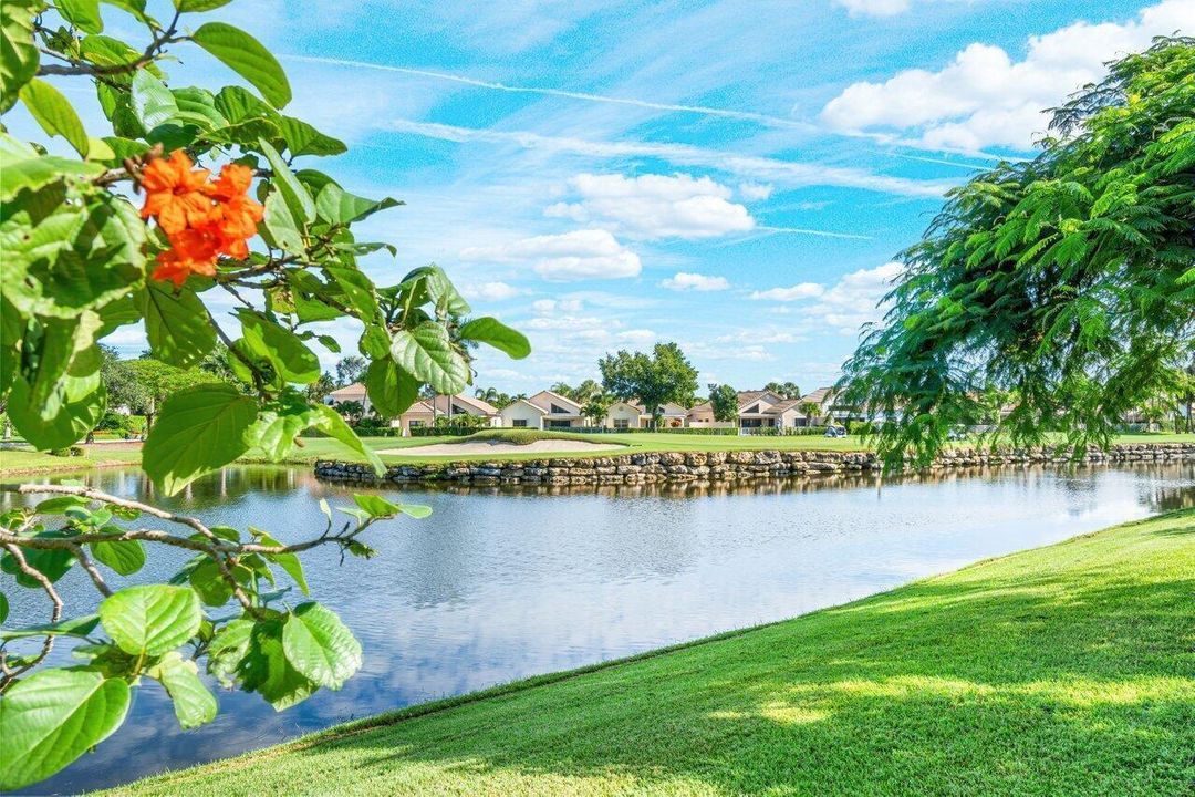 Lake Views