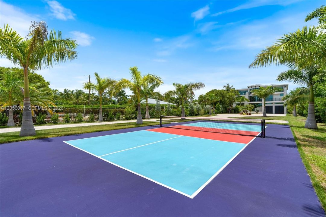 Pickleball Court