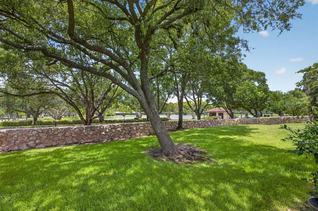 SHADE TREES