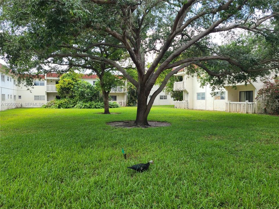 For Sale: $168,000 (1 beds, 1 baths, 670 Square Feet)