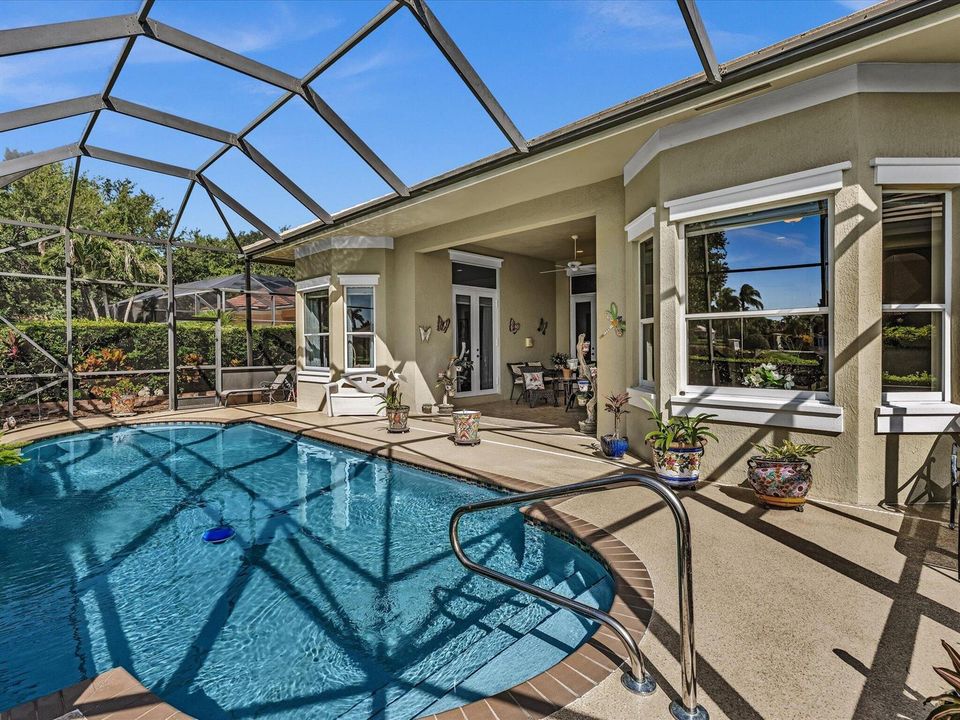 Pool and Patio