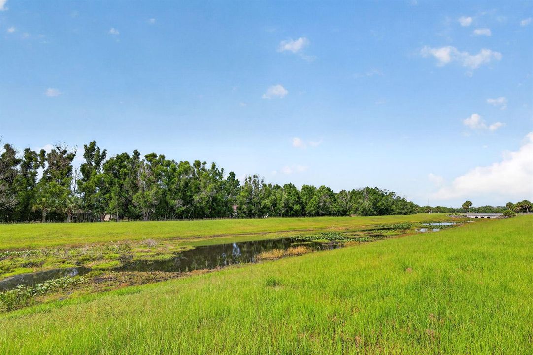 41-web-or-mls-3A5A4212