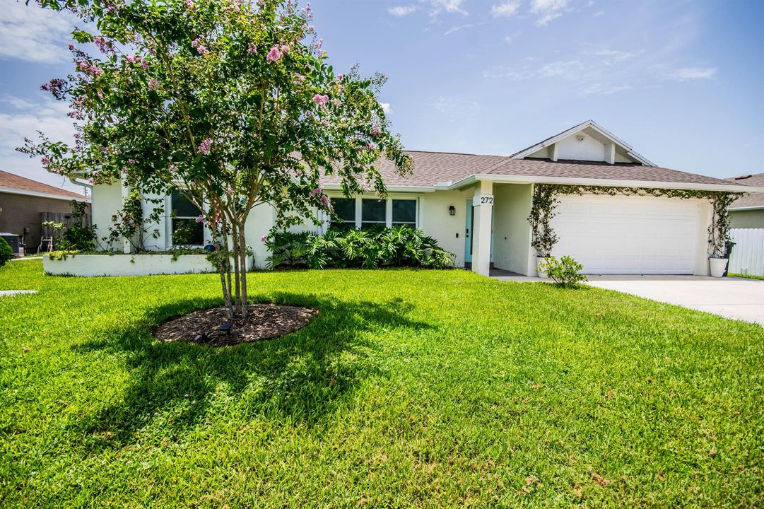 Front Yard