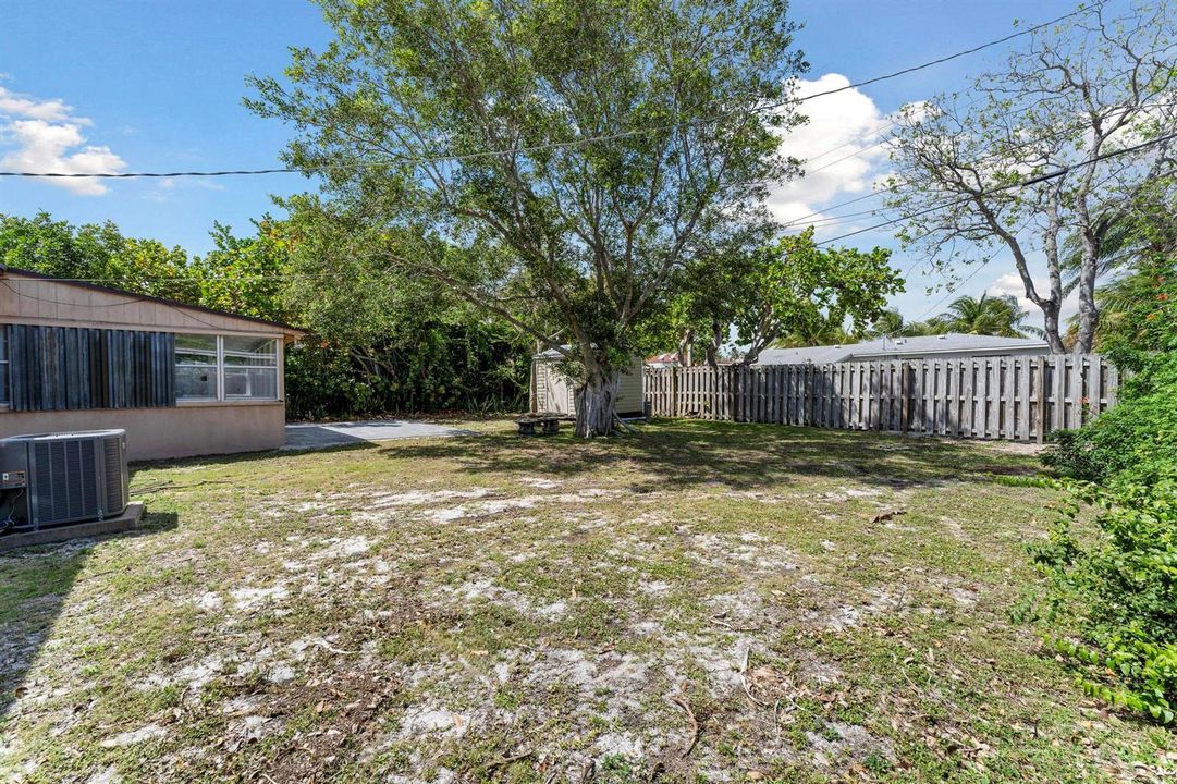 Backyard