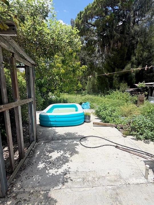 backyard1