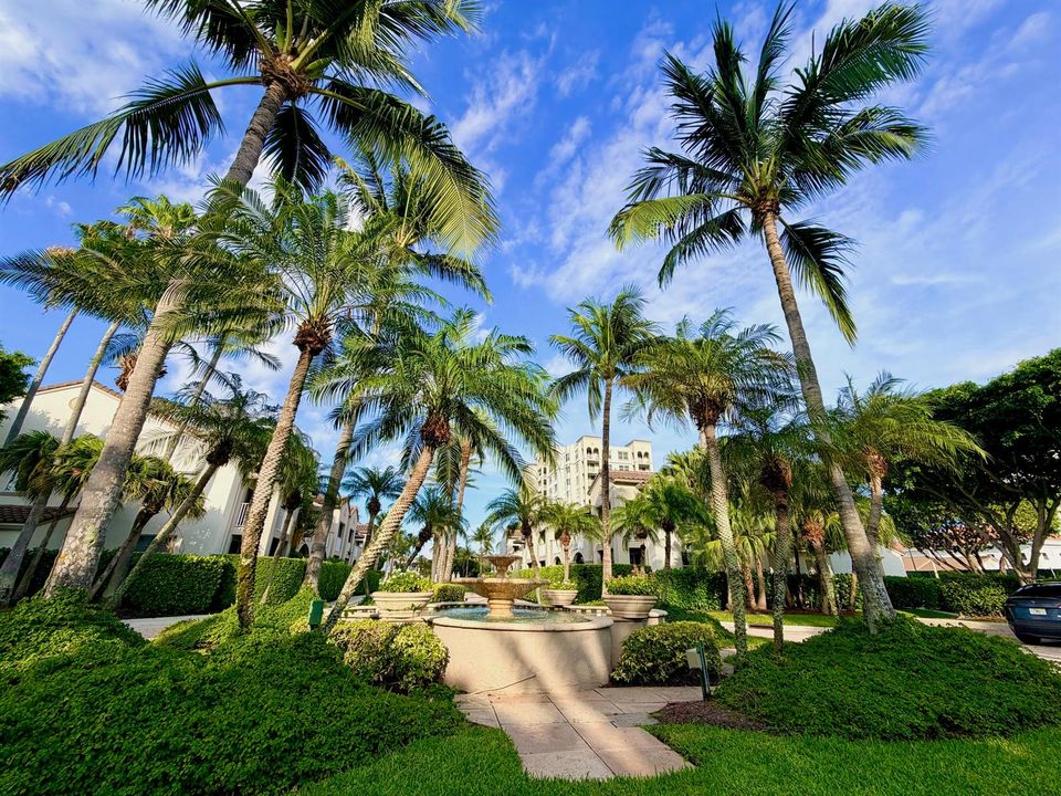 HBC Grounds