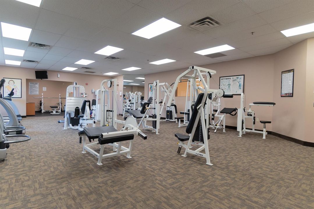 46. Gym