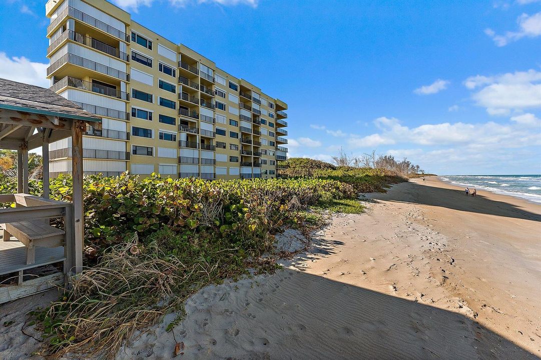 Beach View