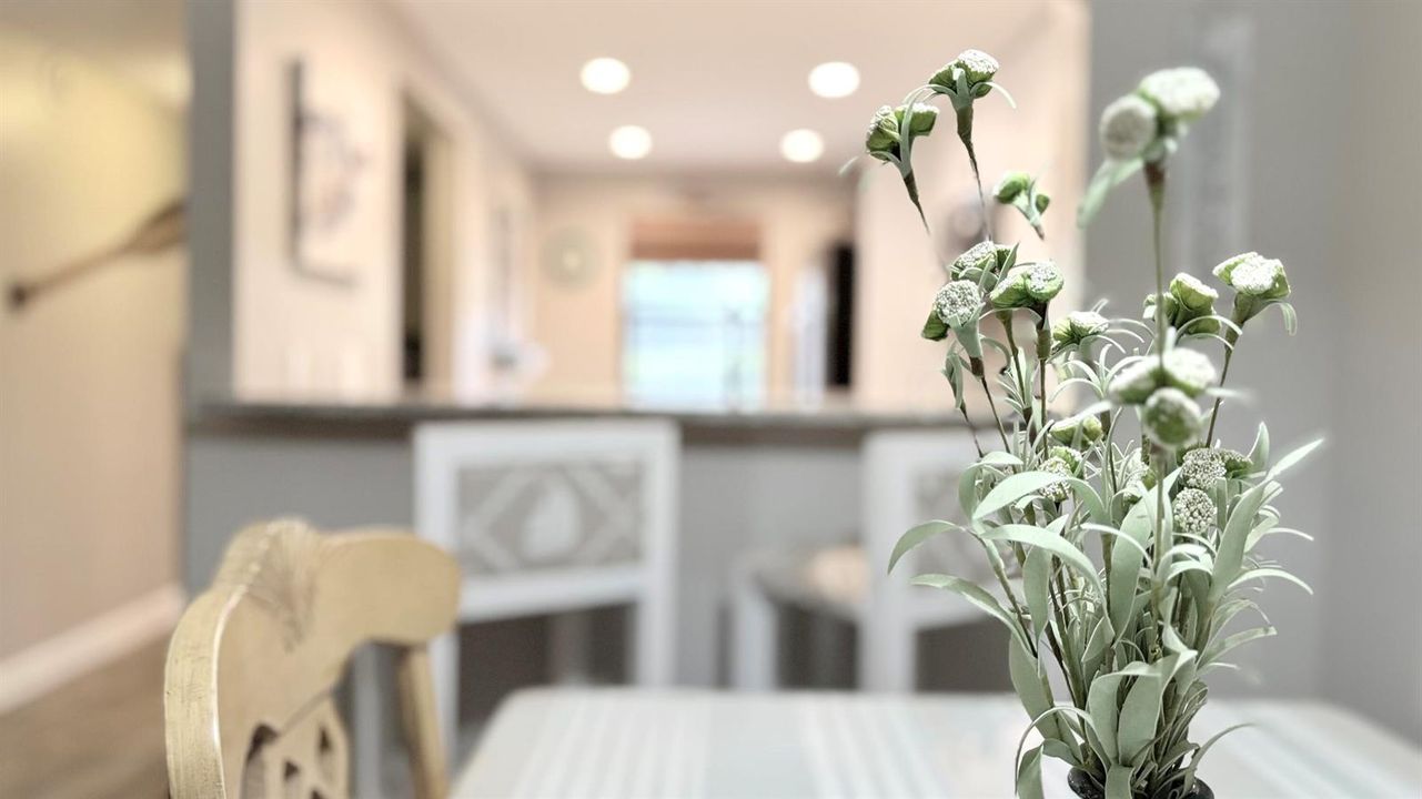 Kitchen/Main Living
