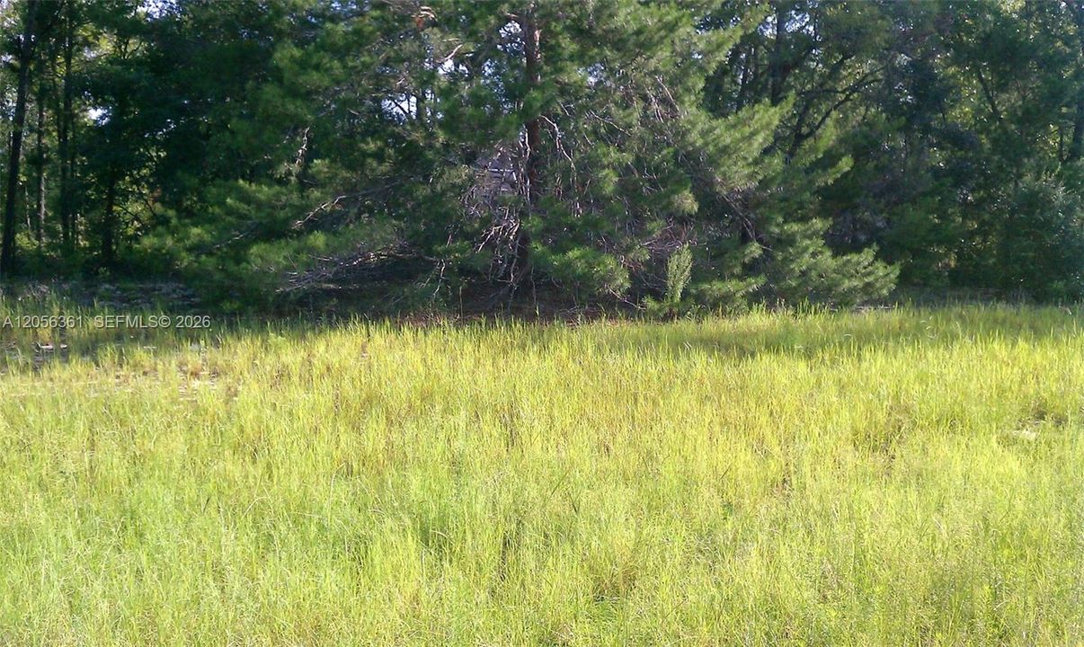 En Venta: $125,000 (0.47 acres)