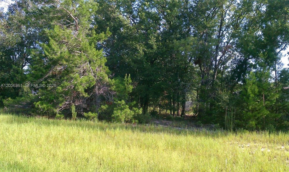 En Venta: $125,000 (0.47 acres)