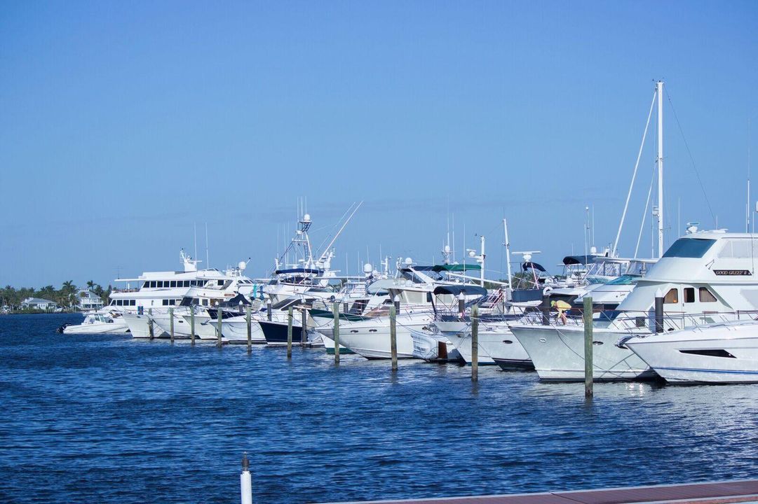 Marina