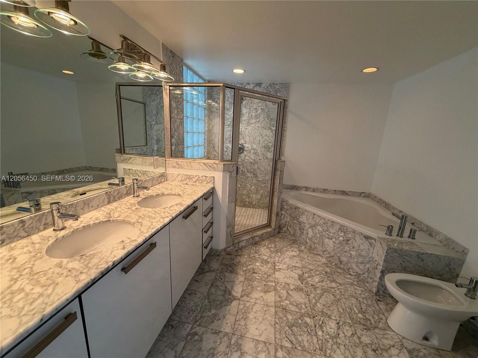 Master bathroom
