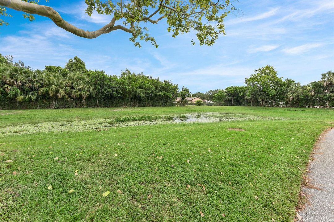Green Space across from condo building