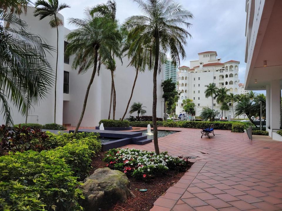 Garden