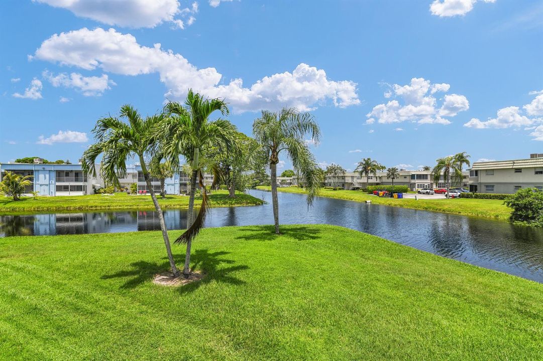 Front Lawn Waterview