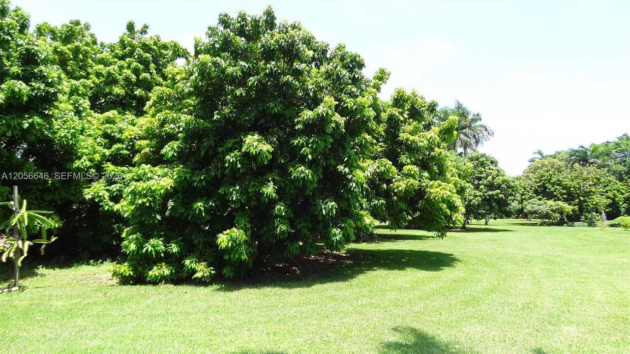 En Venta: $649,000 (0.61 acres)