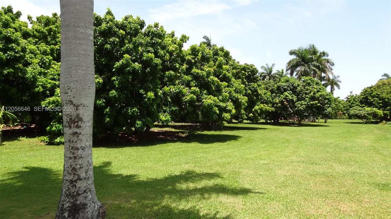 En Venta: $649,000 (0.61 acres)