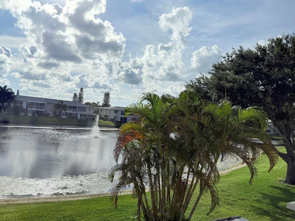 VIEW FROM LIVING ROOM