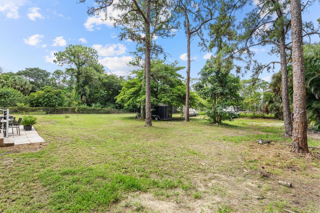 Backyard