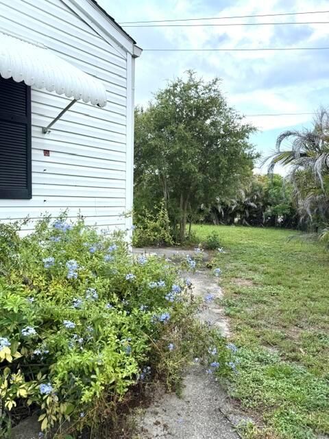 Yard