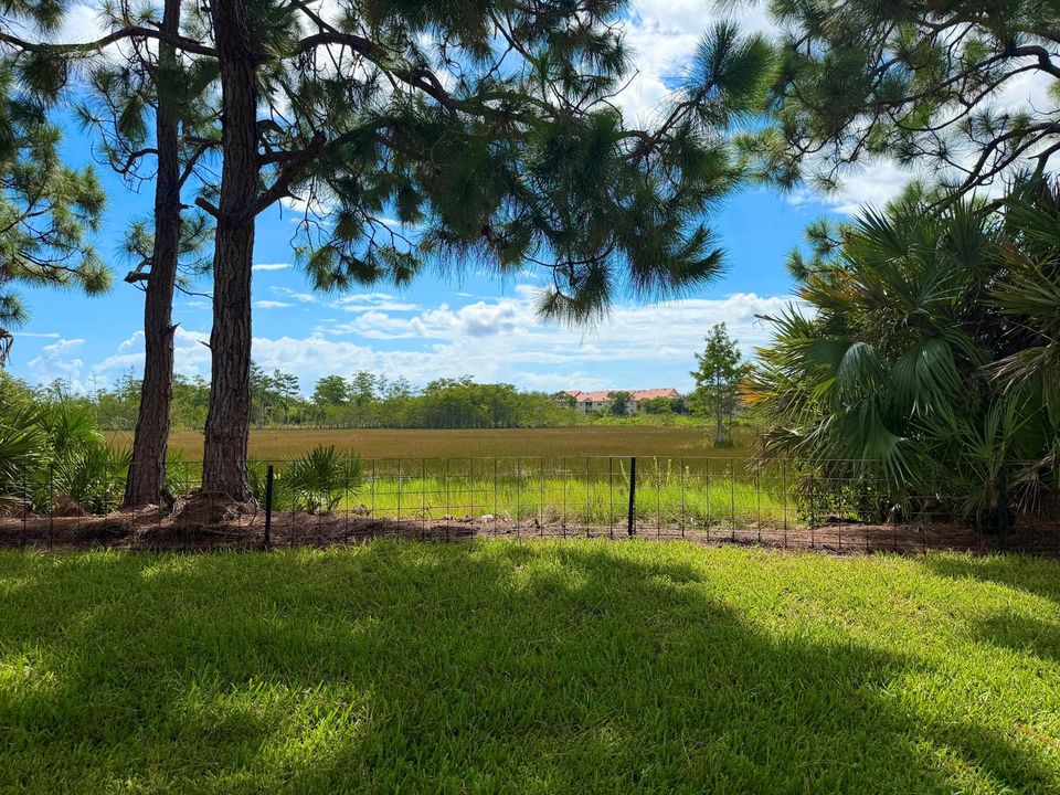 Preserve view