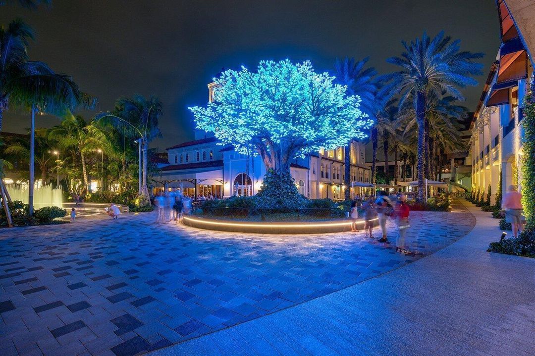 The Square Wishing Tree