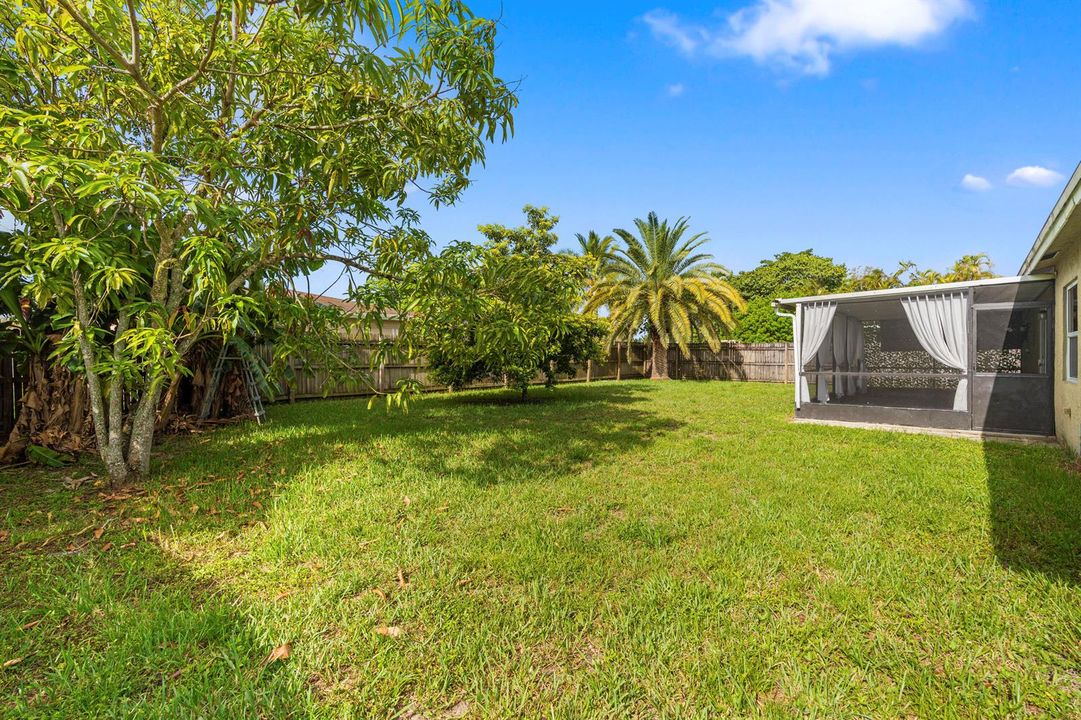 Fenced-in Backyard