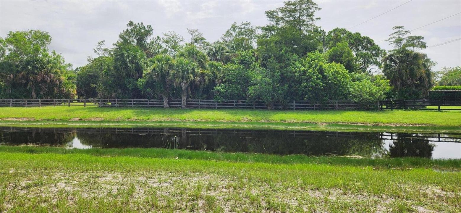 Land pic 5