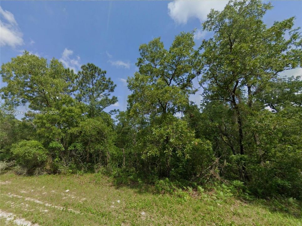 En Venta: $25,000 (0.24 acres)