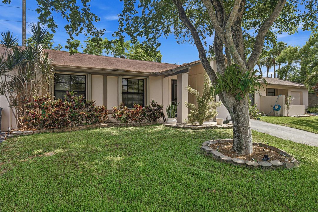 Front Home-C