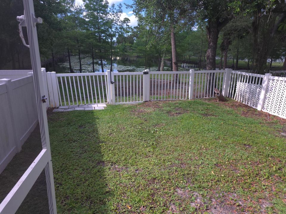 Back yard
