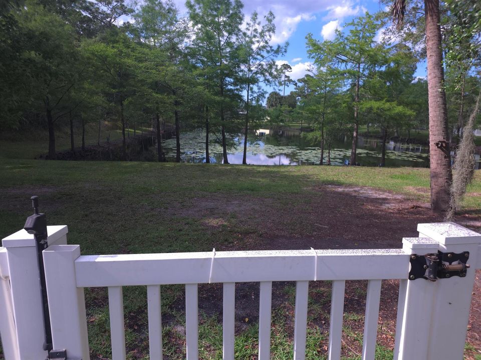 Back yard 2